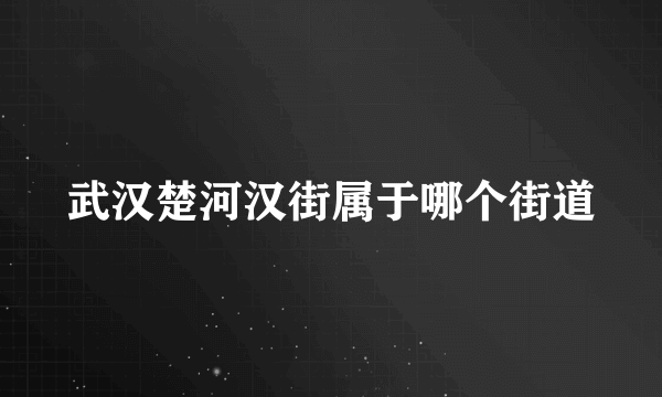 武汉楚河汉街属于哪个街道