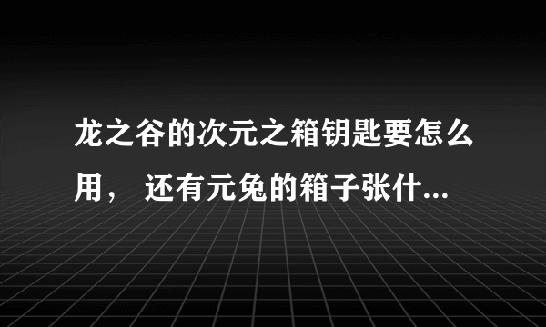 龙之谷的次元之箱钥匙要怎么用， 还有元兔的箱子张什么样子？