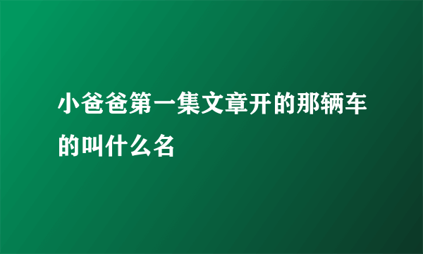 小爸爸第一集文章开的那辆车的叫什么名