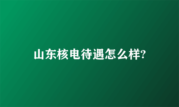 山东核电待遇怎么样?