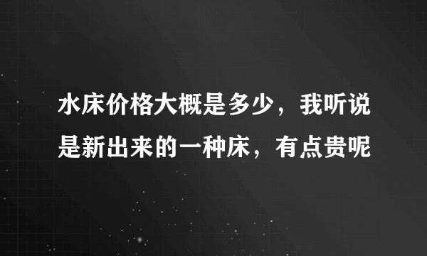 水床价格大概是多少，我听说是新出来的一种床，有点贵呢