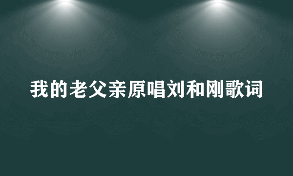 我的老父亲原唱刘和刚歌词