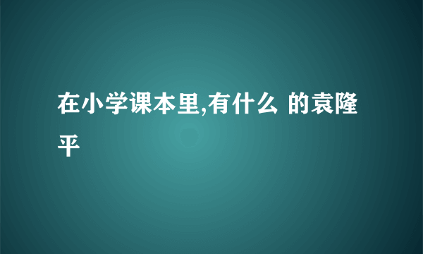 在小学课本里,有什么 的袁隆平