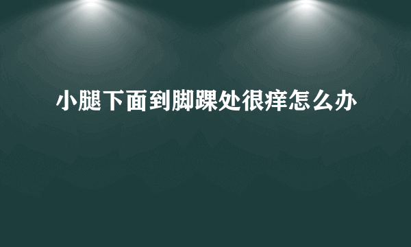 小腿下面到脚踝处很痒怎么办