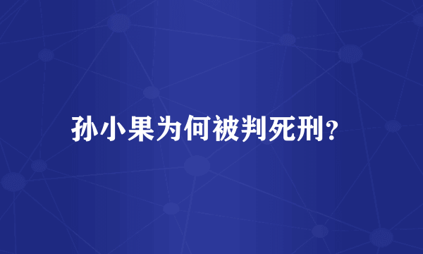 孙小果为何被判死刑？