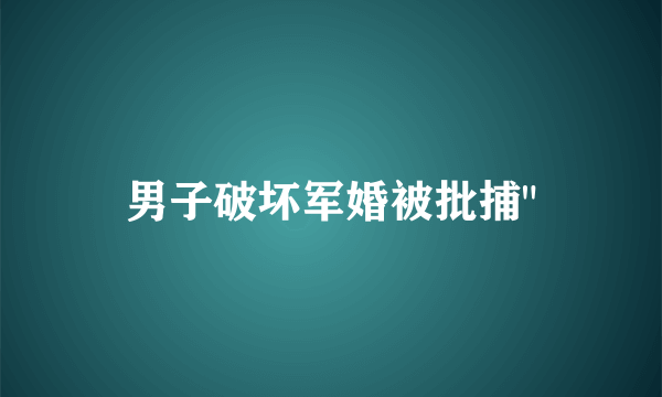 男子破坏军婚被批捕