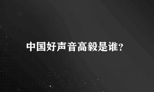 中国好声音高毅是谁？