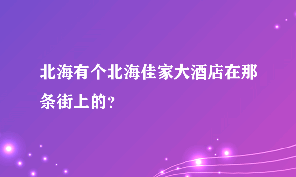 北海有个北海佳家大酒店在那条街上的？