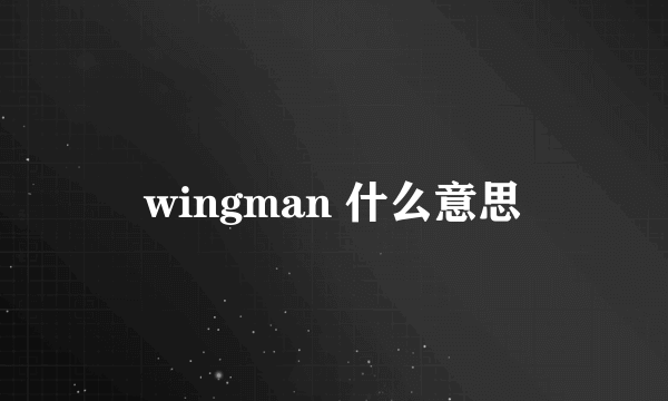 wingman 什么意思