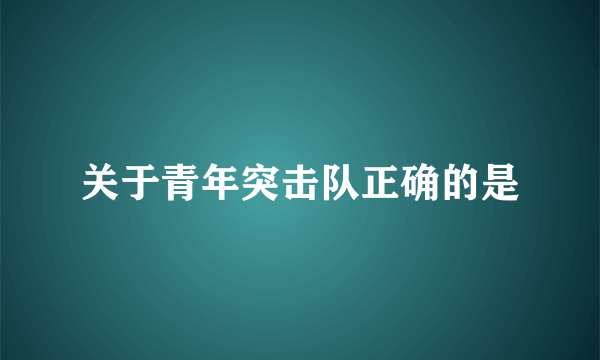 关于青年突击队正确的是