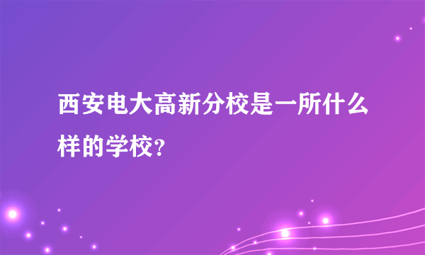 西安电大高新分校是一所什么样的学校？