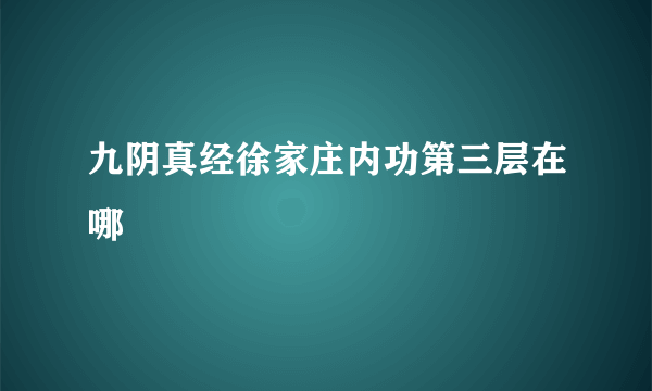 九阴真经徐家庄内功第三层在哪