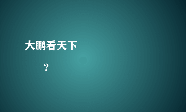 大鹏看天下
      ？