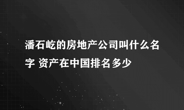 潘石屹的房地产公司叫什么名字 资产在中国排名多少