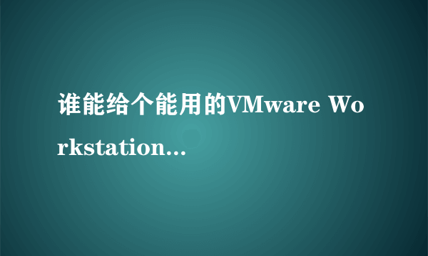 谁能给个能用的VMware Workstation7.1.3 Build 324285 序列号！急急急！！！！