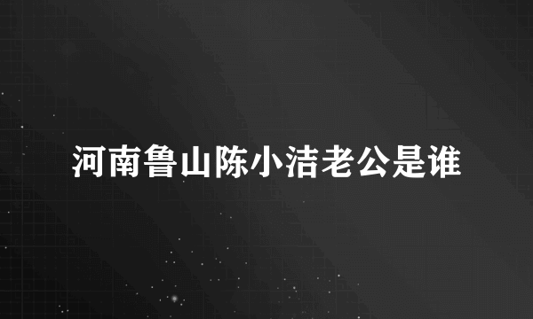 河南鲁山陈小洁老公是谁