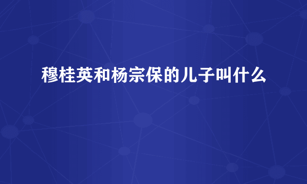 穆桂英和杨宗保的儿子叫什么