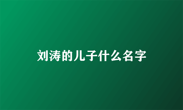 刘涛的儿子什么名字