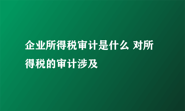 企业所得税审计是什么 对所得税的审计涉及