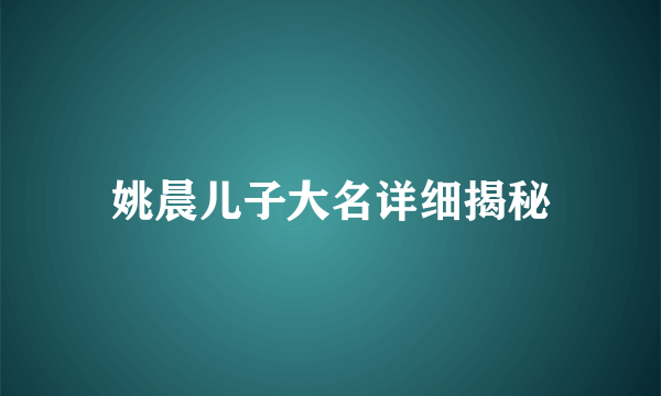 姚晨儿子大名详细揭秘