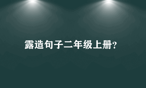 露造句子二年级上册？