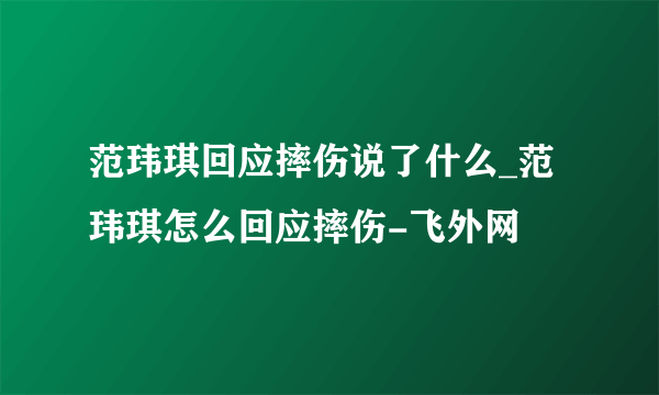 范玮琪回应摔伤说了什么_范玮琪怎么回应摔伤-飞外网