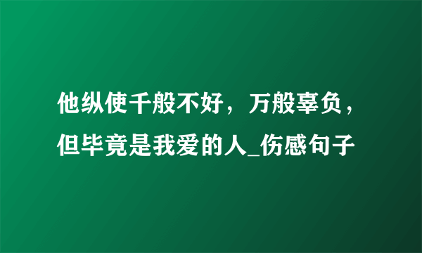 他纵使千般不好，万般辜负，但毕竟是我爱的人_伤感句子