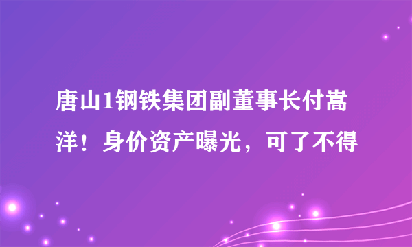 唐山1钢铁集团副董事长付嵩洋！身价资产曝光，可了不得