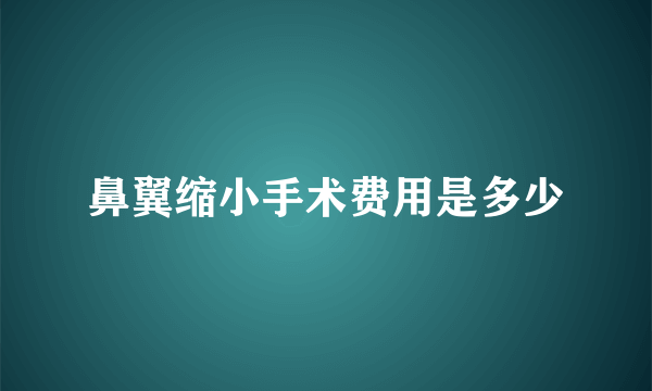 鼻翼缩小手术费用是多少