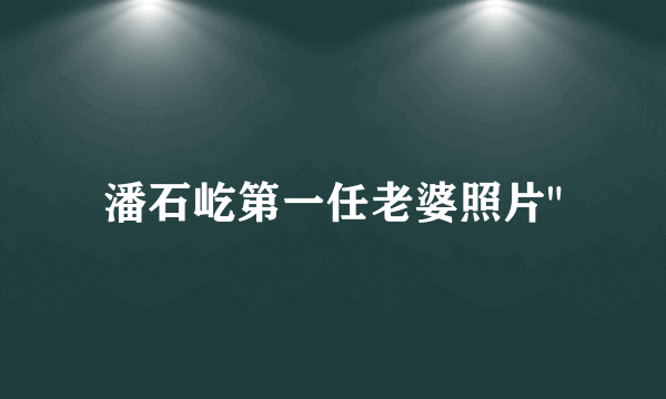 潘石屹第一任老婆照片