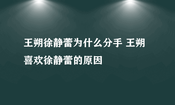 王朔徐静蕾为什么分手 王朔喜欢徐静蕾的原因