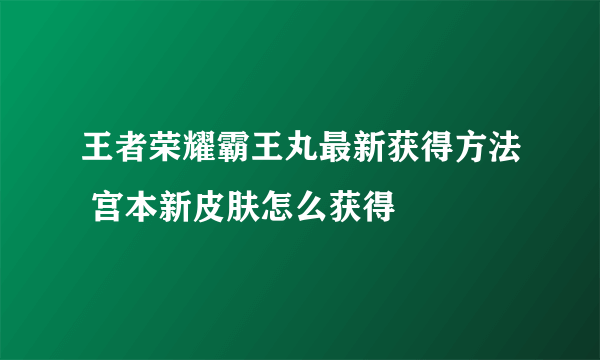 王者荣耀霸王丸最新获得方法 宫本新皮肤怎么获得