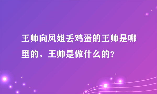 王帅向凤姐丢鸡蛋的王帅是哪里的，王帅是做什么的？