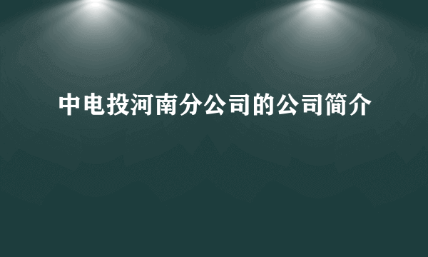 中电投河南分公司的公司简介