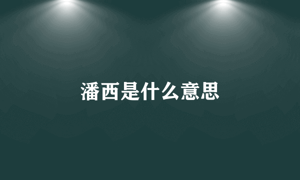 潘西是什么意思