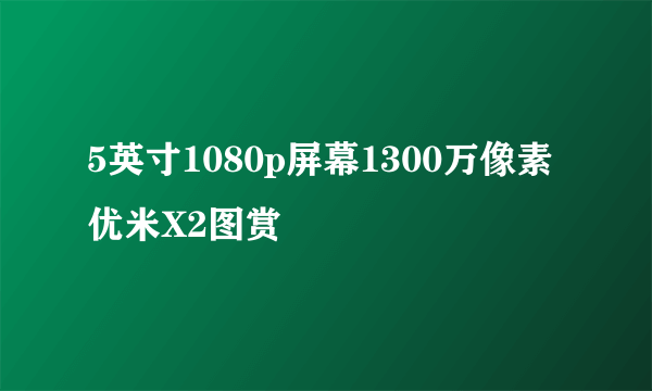 5英寸1080p屏幕1300万像素 优米X2图赏