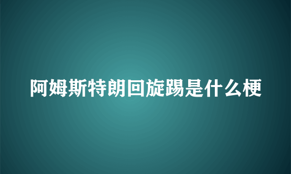 阿姆斯特朗回旋踢是什么梗