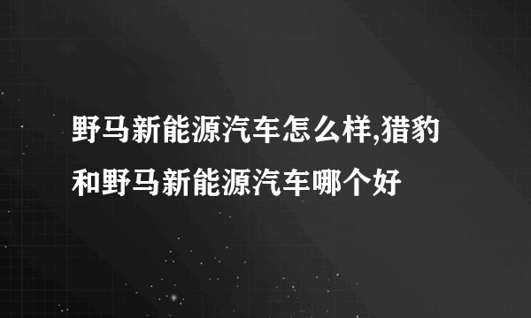 野马新能源汽车怎么样,猎豹和野马新能源汽车哪个好