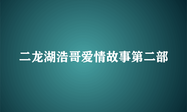 二龙湖浩哥爱情故事第二部