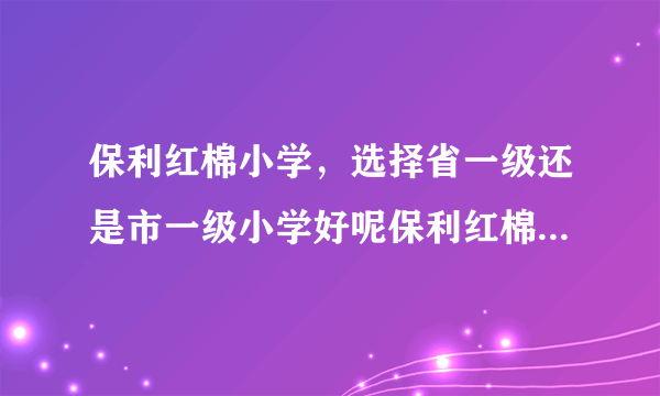 保利红棉小学，选择省一级还是市一级小学好呢保利红棉小学好吗