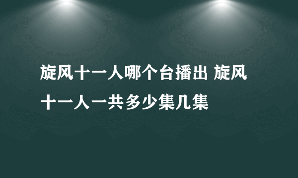 旋风十一人哪个台播出 旋风十一人一共多少集几集