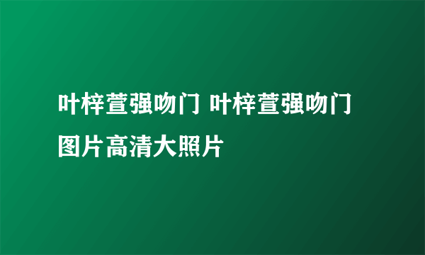 叶梓萱强吻门 叶梓萱强吻门图片高清大照片