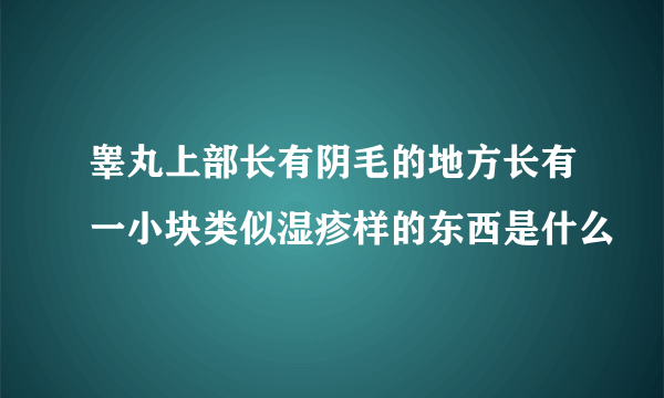 睾丸上部长有阴毛的地方长有一小块类似湿疹样的东西是什么