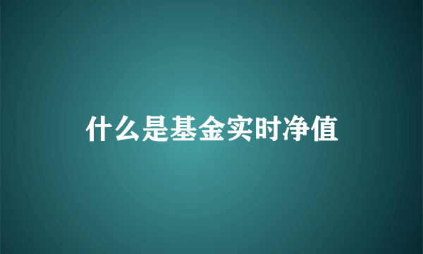 什么是基金实时净值