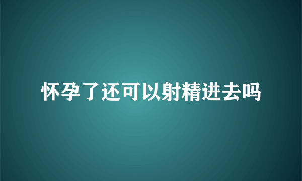 怀孕了还可以射精进去吗