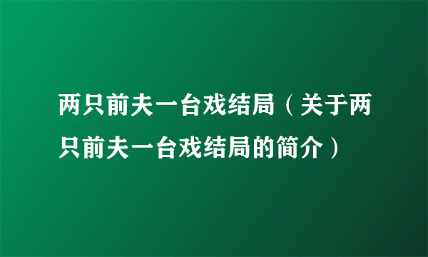 两只前夫一台戏结局（关于两只前夫一台戏结局的简介）