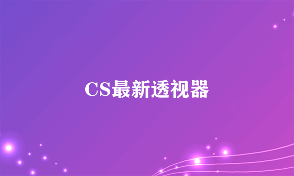 CS最新透视器