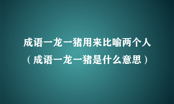 成语一龙一猪用来比喻两个人（成语一龙一猪是什么意思）