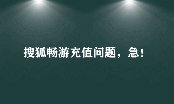 搜狐畅游充值问题，急！