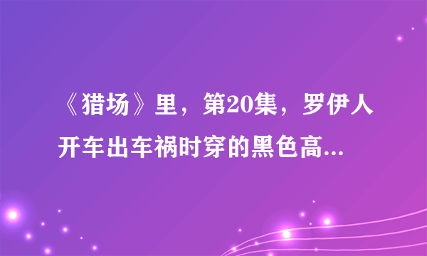 《猎场》里，第20集，罗伊人开车出车祸时穿的黑色高跟鞋是什么牌子的？